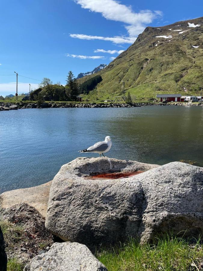 Brustranda Fjordcamping Valberg Exteriör bild